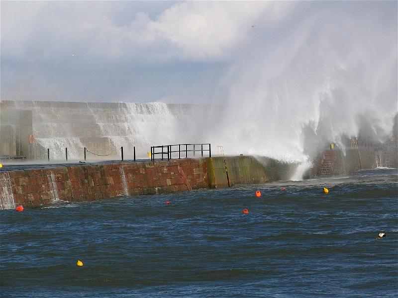 Dunbar harbour 4-05 5.JPG
